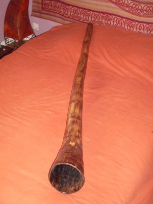 Agave Tyler Spencer DO#