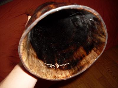 Agave Tyler Spencer DO# - cloche