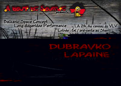 Fly Dudo light.jpg