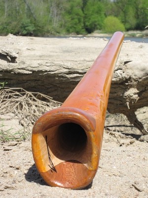 La diese Orange 2.jpg