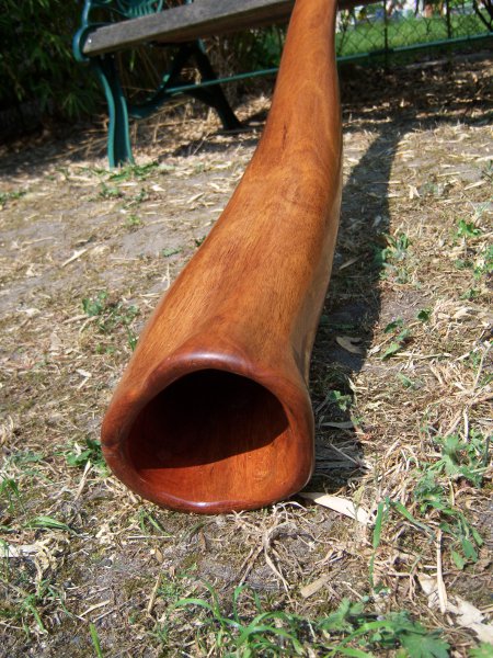 Ré# euca 1.jpg