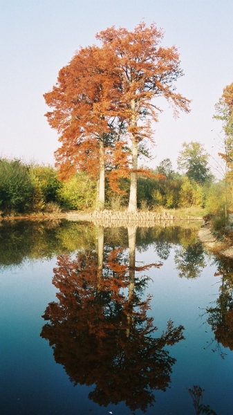 PICT0004.JPG