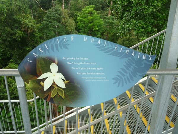 P1030830.jpg