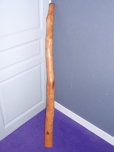 PC110278.JPG