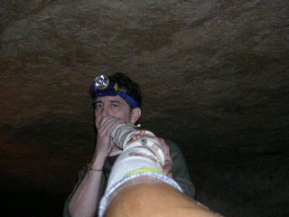 Lolo