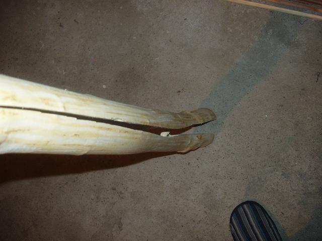 P1010006.JPG