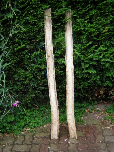 intérieur.JPG