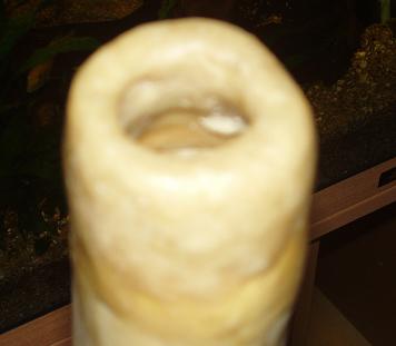 embouchure.JPG