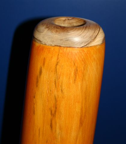 platane.jpg