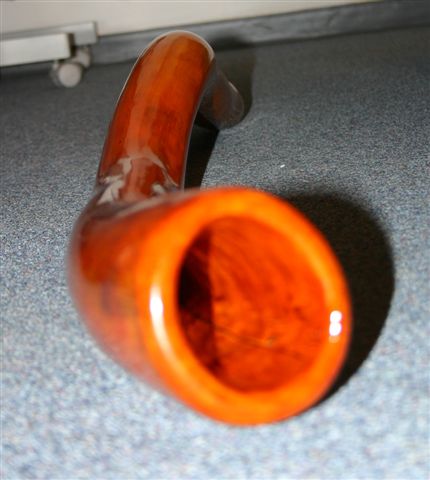 platane4.jpg