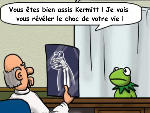 kermitt.jpg