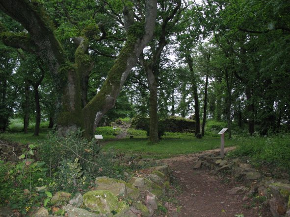 l'arrivée aux ruines