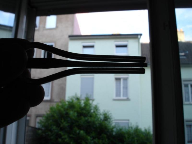 Guimbarde Inox 2.JPG