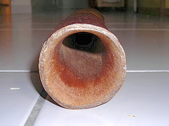 DSCN0450.JPG