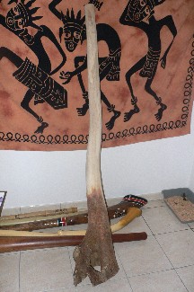 P1010664.JPG