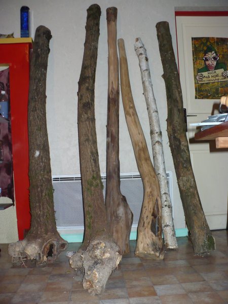 P1000857.JPG