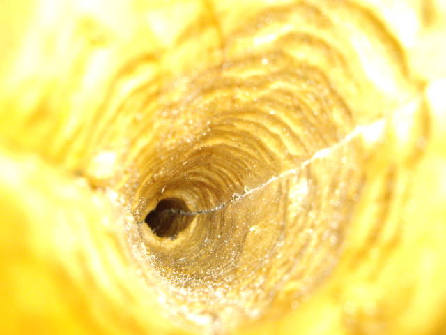 IMGP0897.JPG