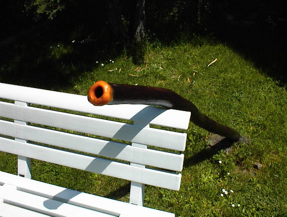 l'embouchure