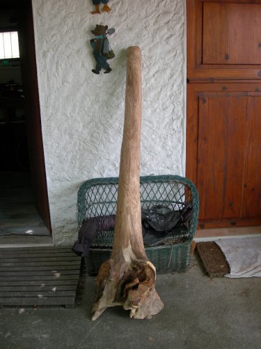 DSCN1955.JPG
