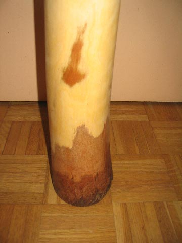 Yellow2.jpg