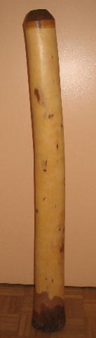 Yellow1.jpg