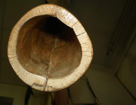 cloche entière
