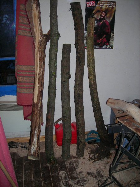 DSCN0095.JPG