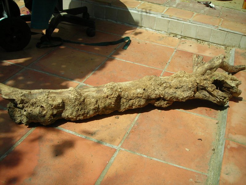 DSCN0228.JPG