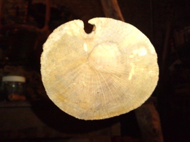 P250210_17.310001.JPG