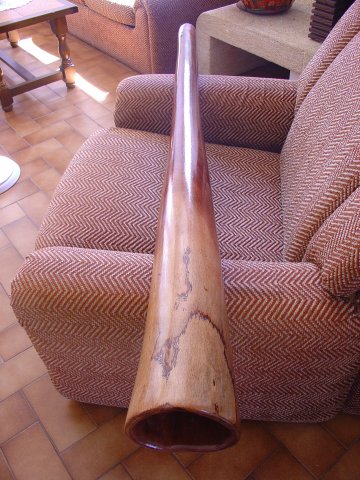 Dsc02157.jpg