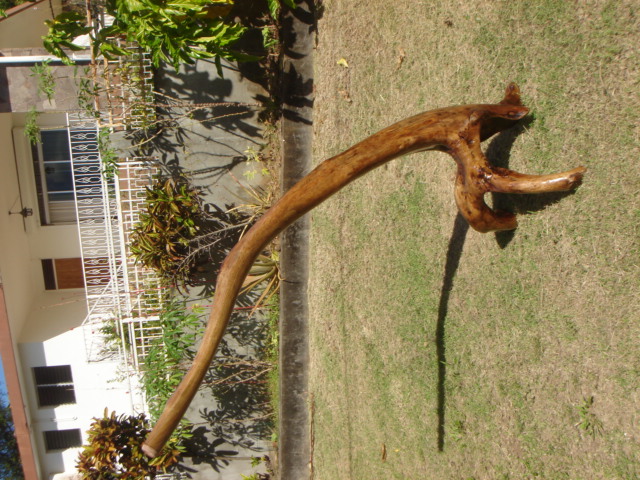 DSC05072.JPG