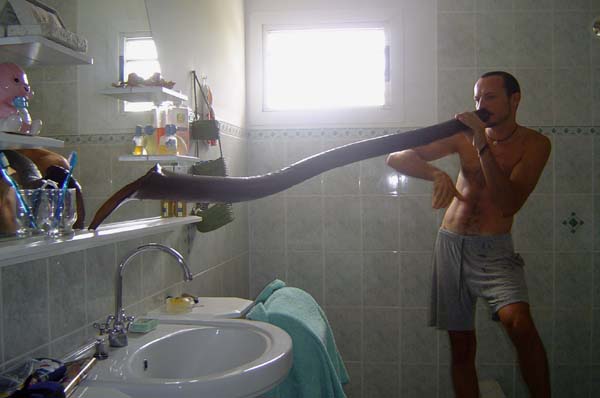 sandeuca5.jpg