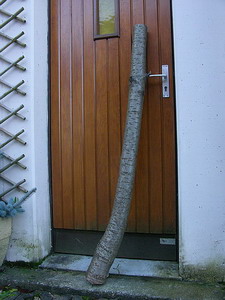 Photo 1 Brut