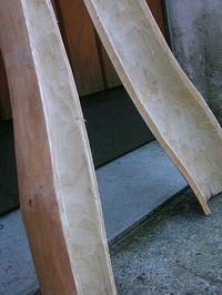 Cerisier 6_200.jpg
