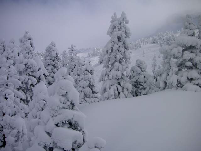 c'est beau ....