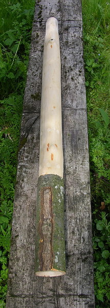 Eärendil 3.600.jpg