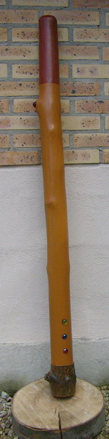 Didge Ernest 2 600.jpg