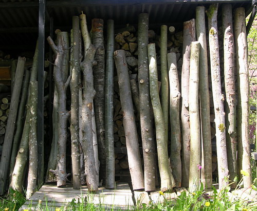 Photo de famille.jpg