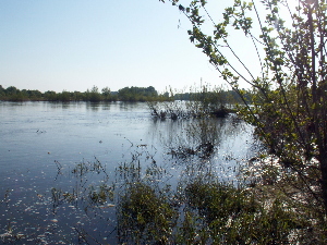 loire.JPG