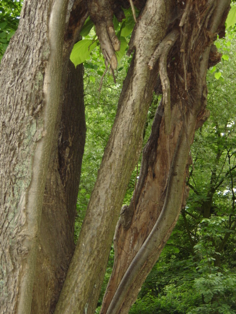 DSC02335.JPG