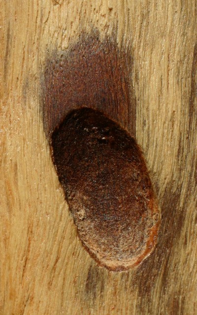 Copie de Affichage Web grand format.jpg