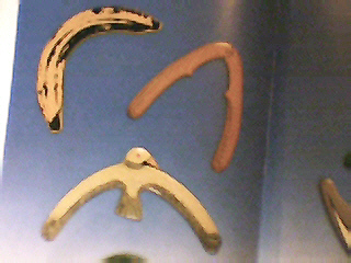 boomerangs delire 1.jpg