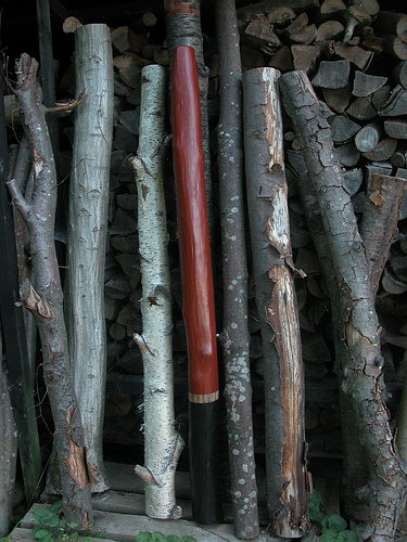 Charme Didgeridoo.jpg