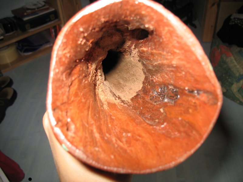 cloche.jpg