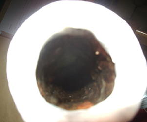 embouchure.jpg