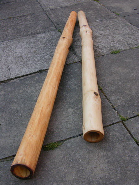 Merisier et Erable.jpg