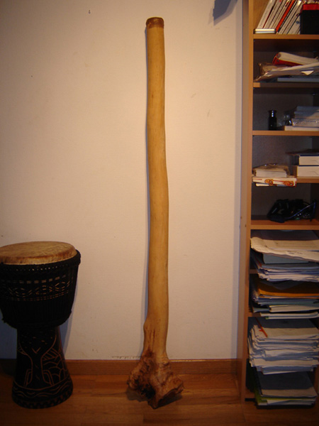 DSC00587.jpg