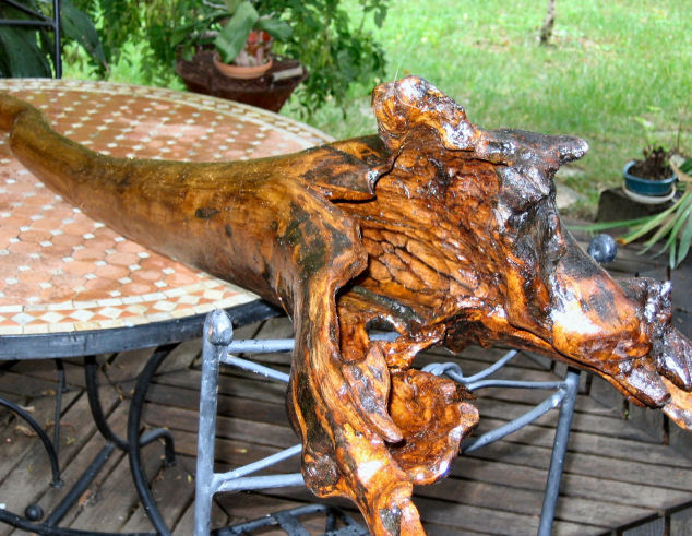 La gueule du monstre.JPG