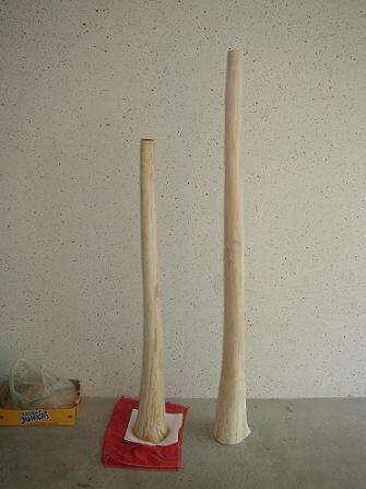 Les 2 sandidges terminer 1m30 et 1m65