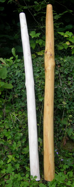 Erable ou Merisier.jpg